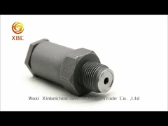 Bosch Injector OEM 1110010020 Pressure Limit Valve