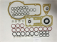 CE Common Rail Spare Parts Diesel Repair Kit Fuel Injector Pump PB(A)